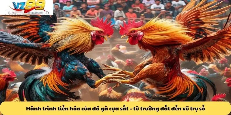 Đá gà cựa sắt 2 Hành trình tiến hóa của đá gà cựa sắt – từ trường đất đến vũ trụ số
