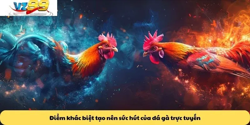 Điểm khác biệt tạo nên sức hút của đá gà trực tuyến