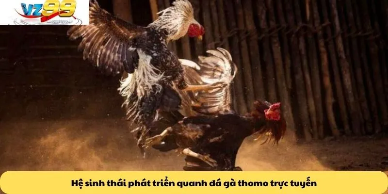 Hệ sinh thái phát triển quanh đá gà thomo trực tuyến