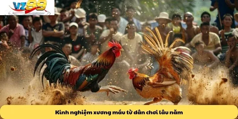 Kinh nghiệm xương máu từ dân chơi lâu năm